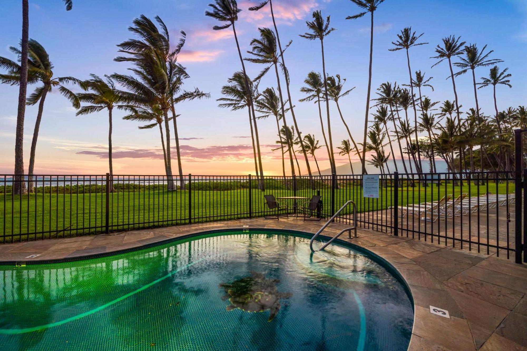Hale Kai O'Kihei 317 Apartment Exterior foto