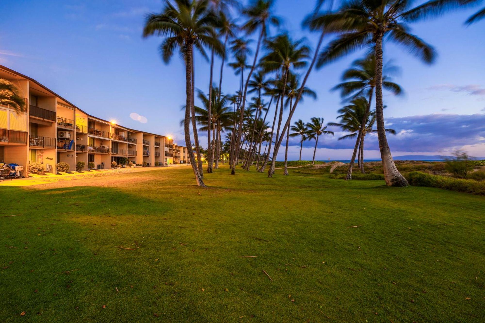 Hale Kai O'Kihei 317 Apartment Exterior foto